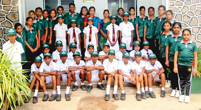 පරිසර සංගමය 