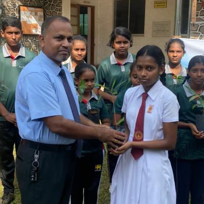 343530139 2580385525434426 3490894431852834237 N