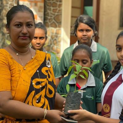 343694452 256985146784278 4906846737286272400 N