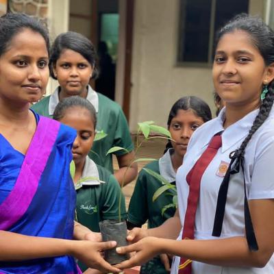 343940689 902979140800412 3384379414822695006 N