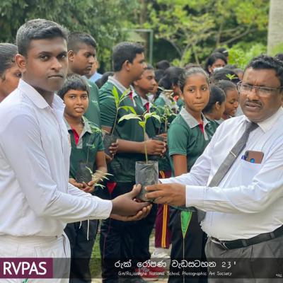 රුක් රෝපණ වැඩසටහන 2023 
